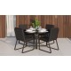 Gardenini - Обеденная зона Gardenini Primavera Carbon Черный с стульями Voglie Armrest