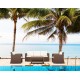SiestaContract - Столик журнальный Siesta Contract Monaco Lounge Цвет: коричневый SiestaContract - Столик журнальный Siesta Contract Monaco Lounge Цвет: коричневый